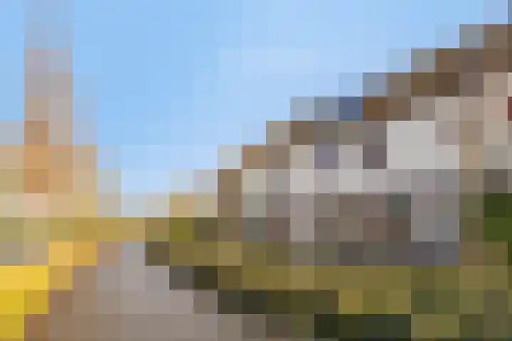 Kamille 74 Zwaag thumbnail 32
