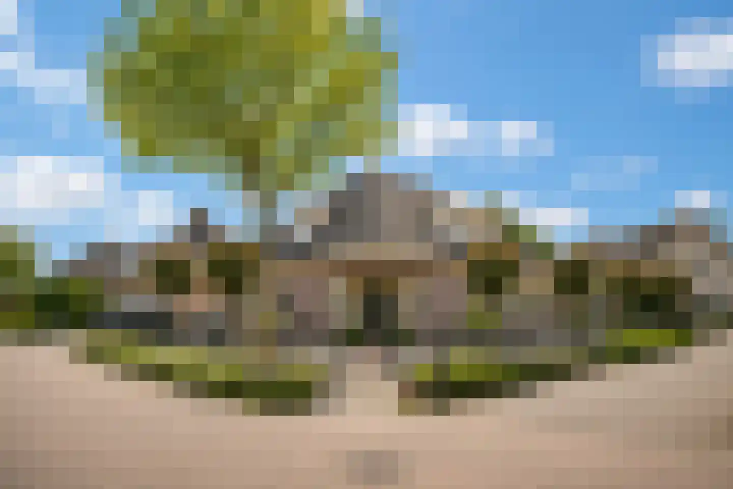 Kamille 8 Kerkdriel