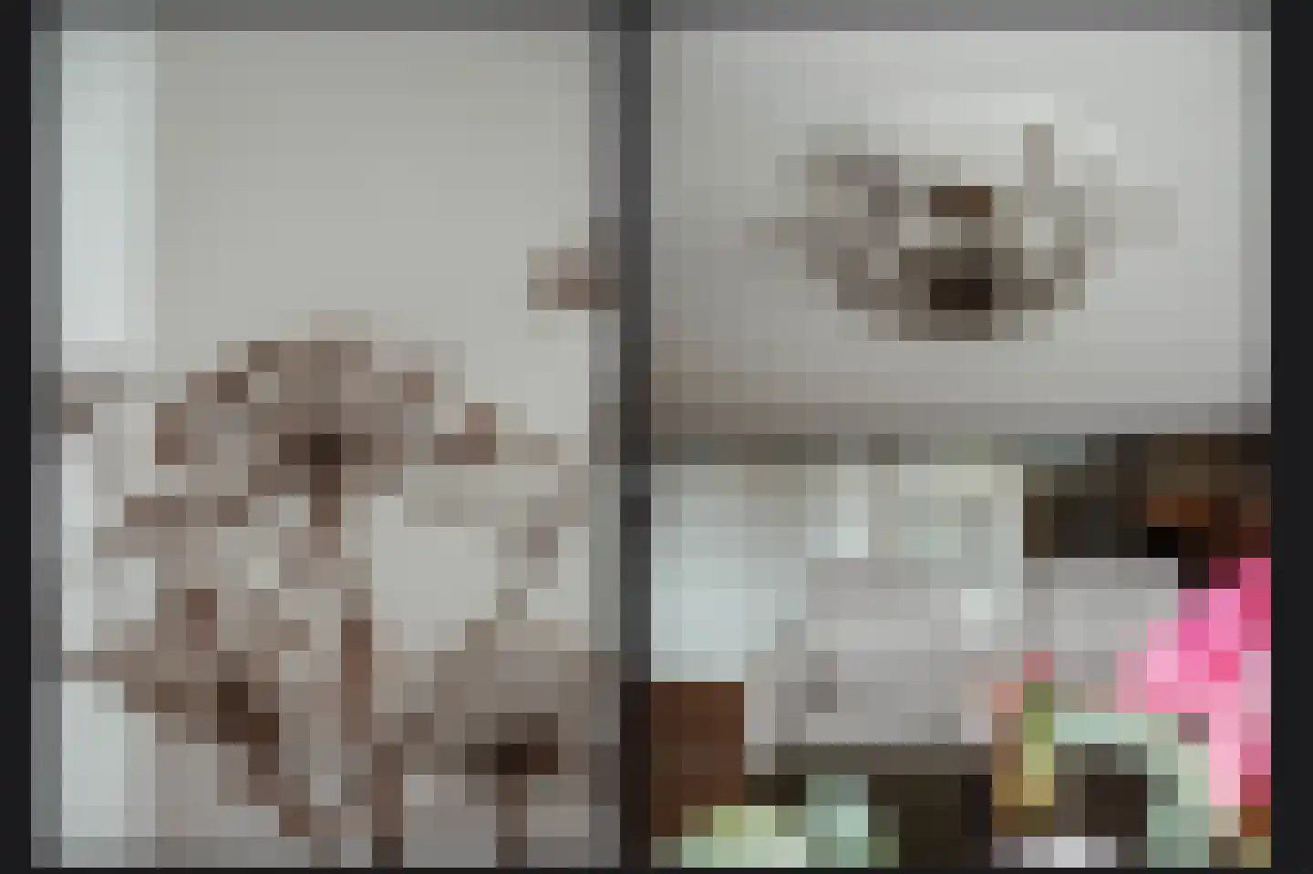 Kamille 8 Kerkdriel thumbnail 11