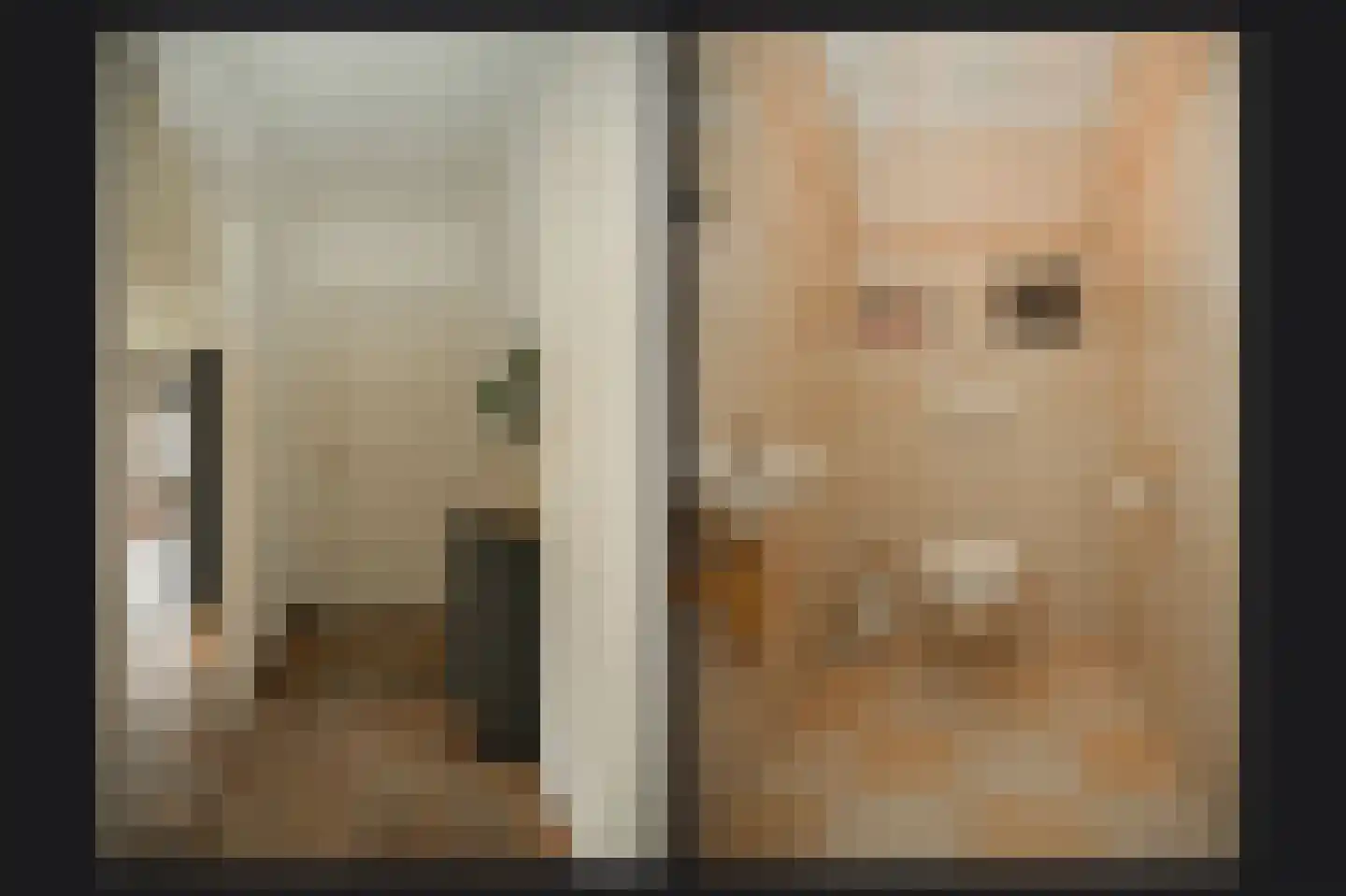Kamille 8 Kerkdriel thumbnail 18