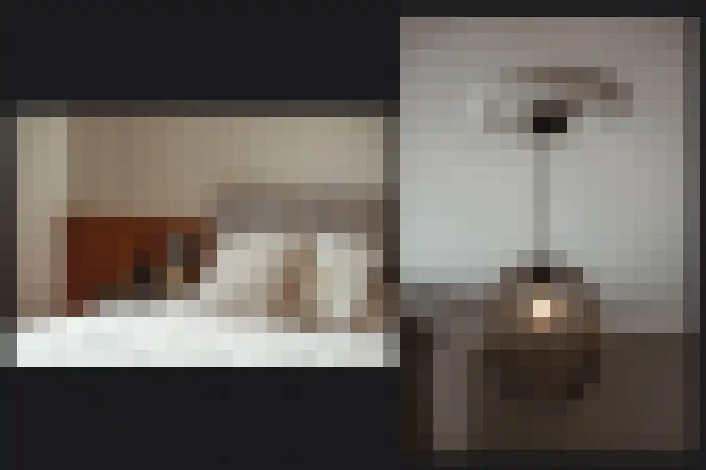 Kamille 8 Kerkdriel thumbnail 20