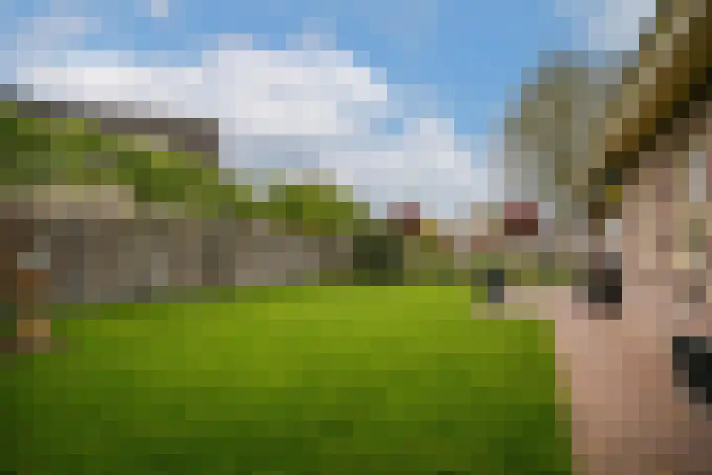 Kamille 8 Kerkdriel thumbnail 37