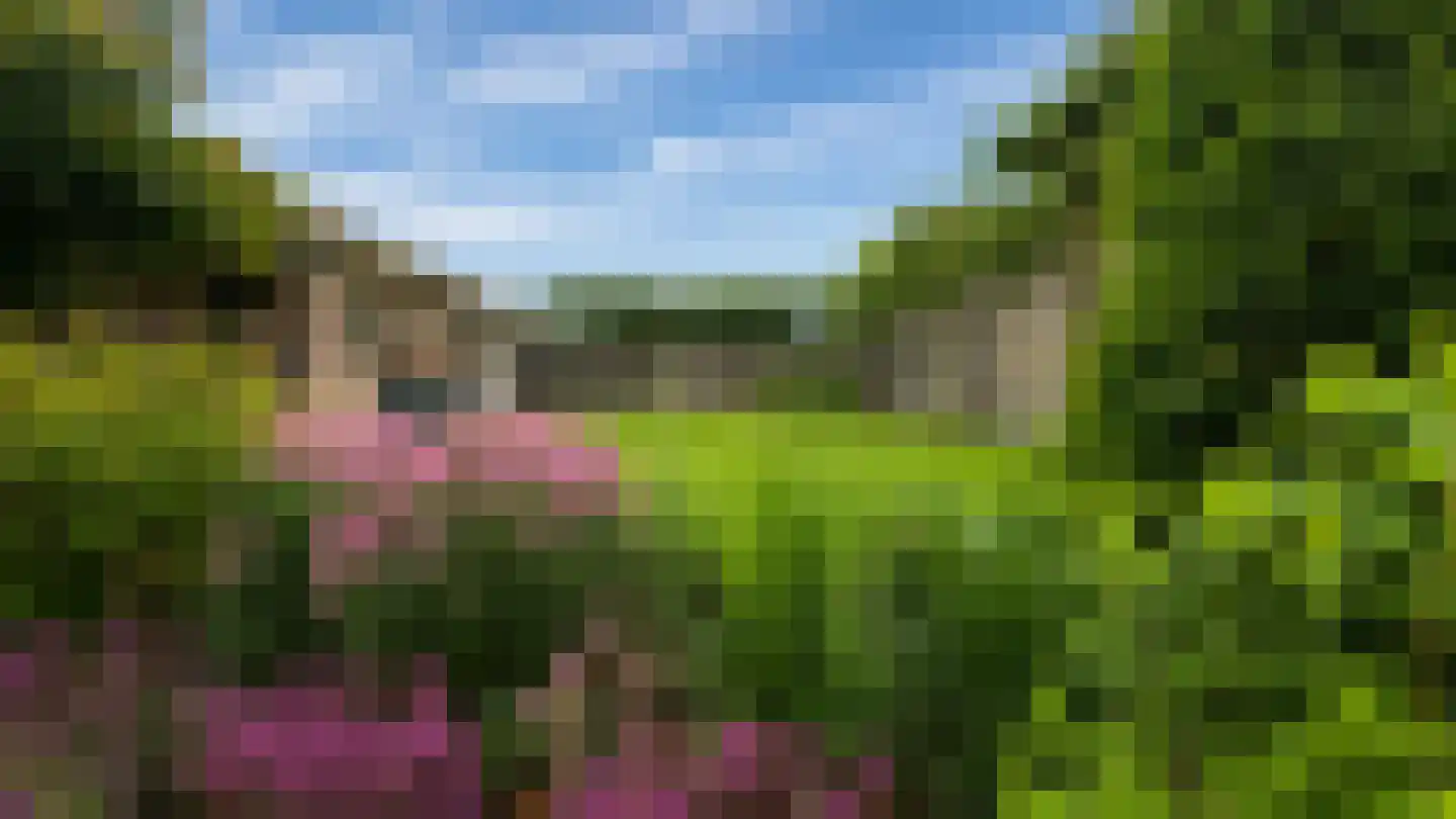 Kamille 8 Kerkdriel thumbnail 38