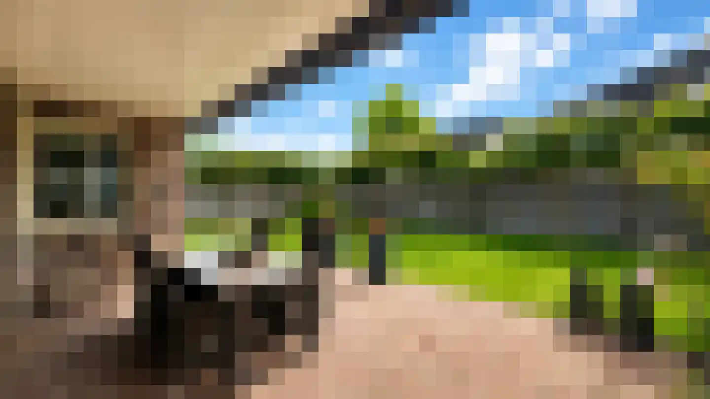 Kamille 8 Kerkdriel thumbnail 39