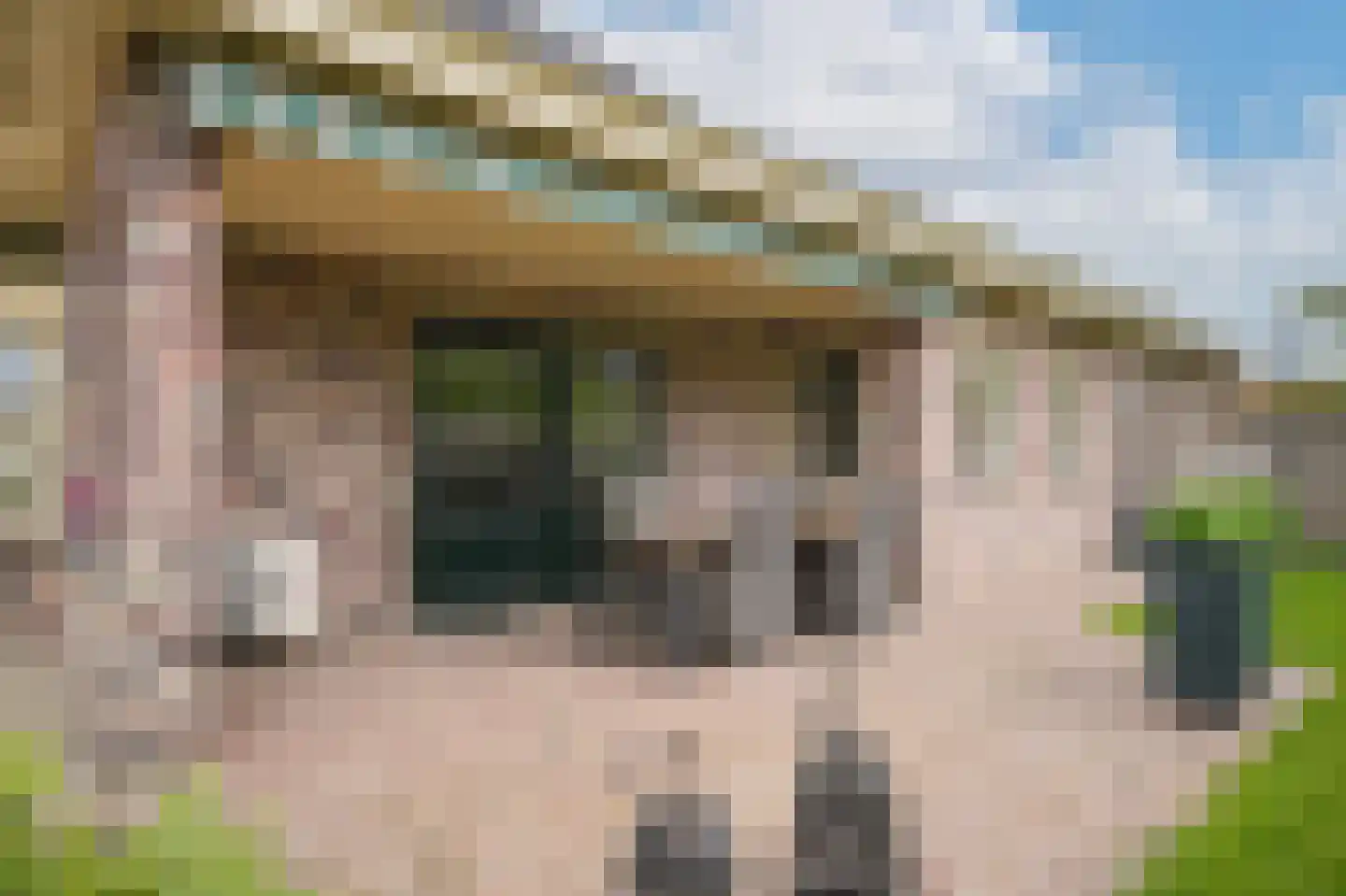 Kamille 8 Kerkdriel thumbnail 39