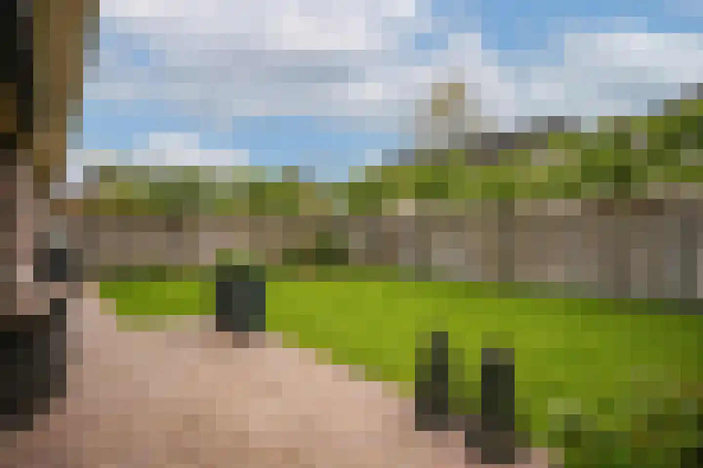 Kamille 8 Kerkdriel thumbnail 40