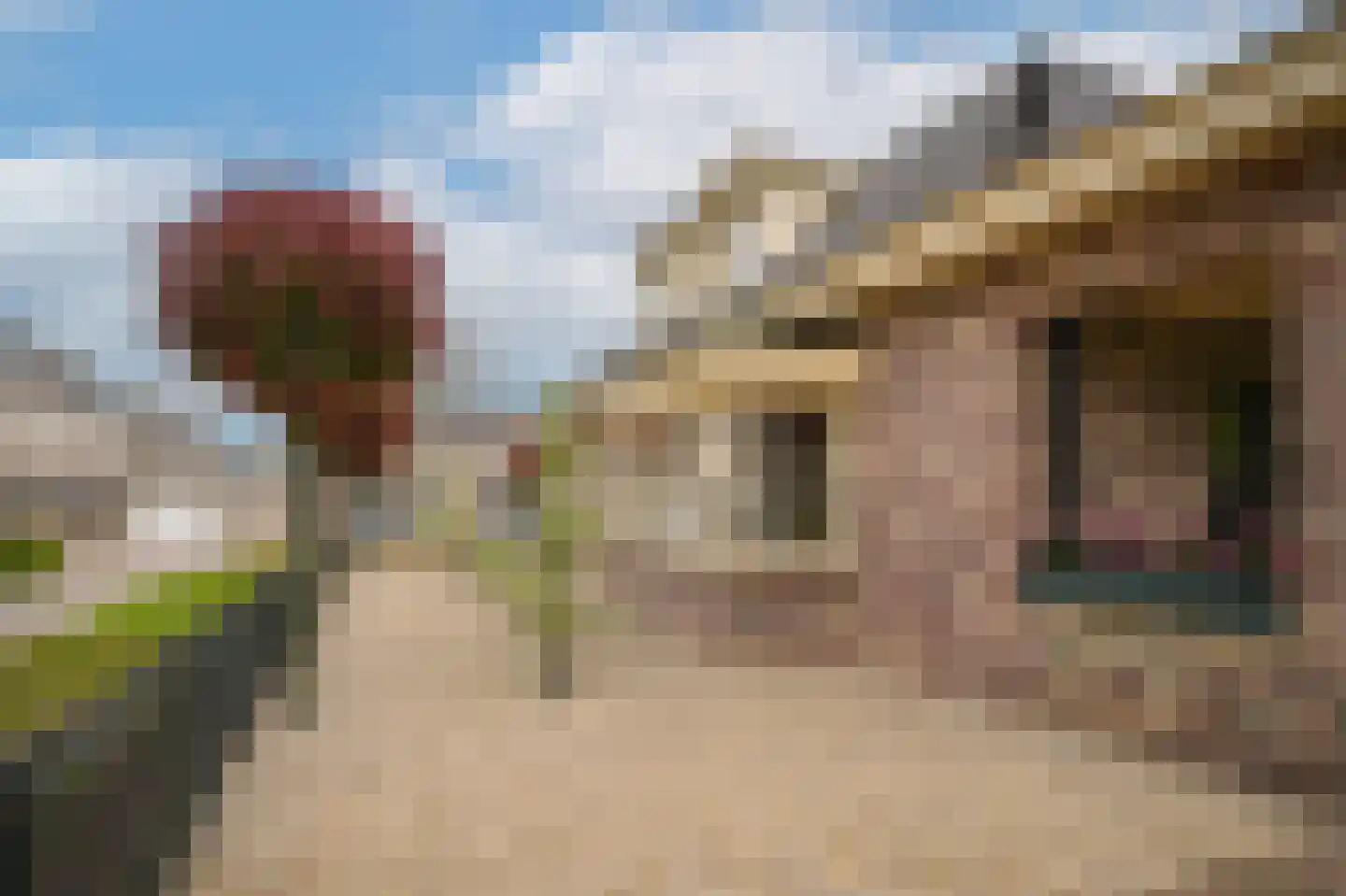 Kamille 8 Kerkdriel thumbnail 41