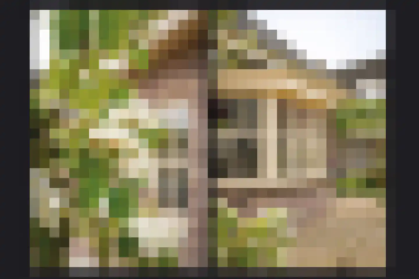 Kamille 8 Kerkdriel thumbnail 42