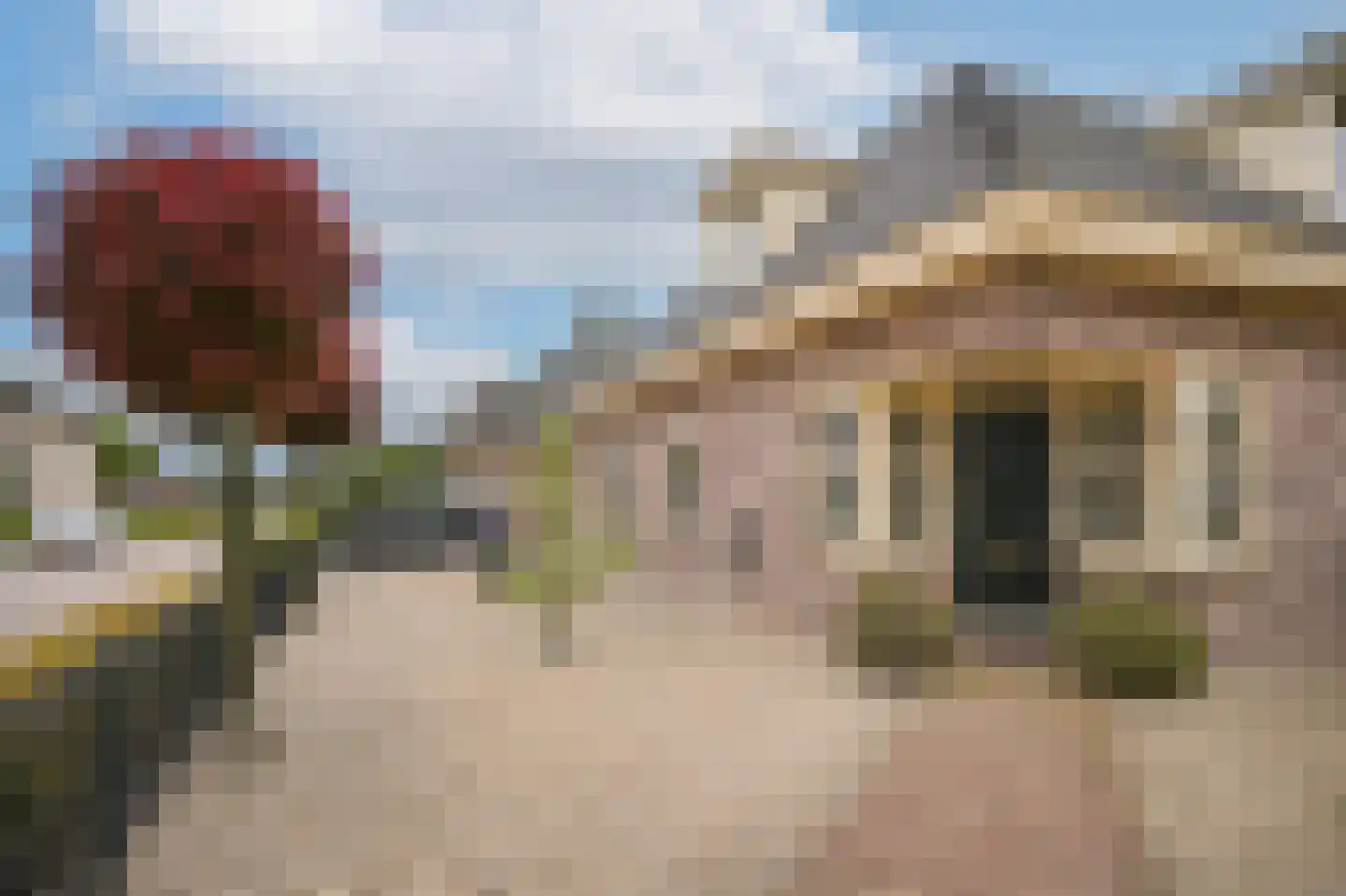 Kamille 8 Kerkdriel thumbnail 46