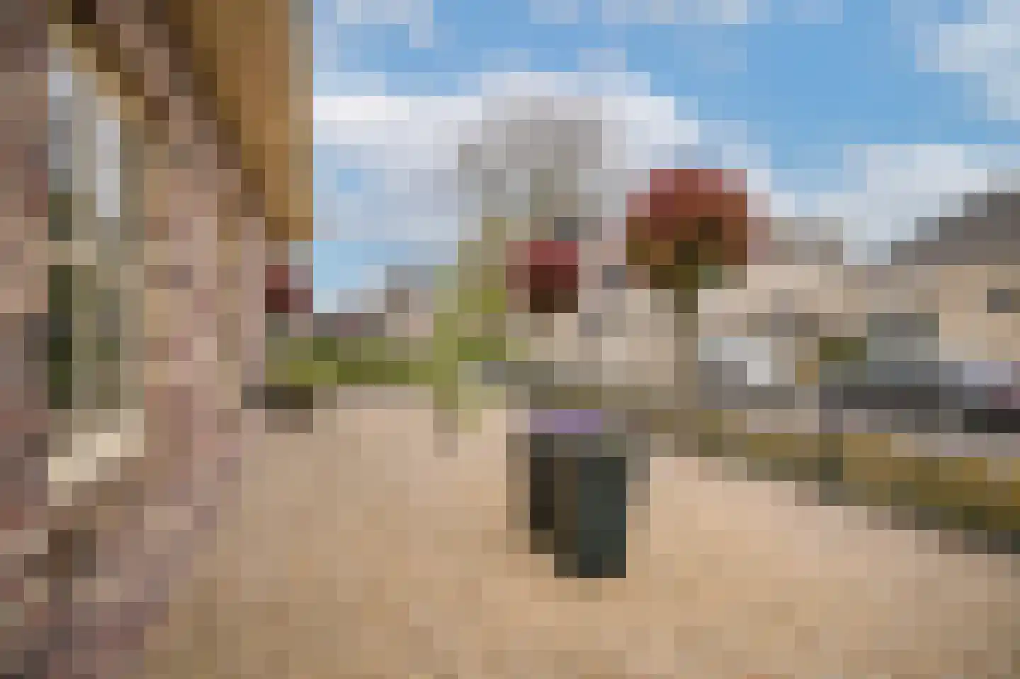 Kamille 8 Kerkdriel thumbnail 47