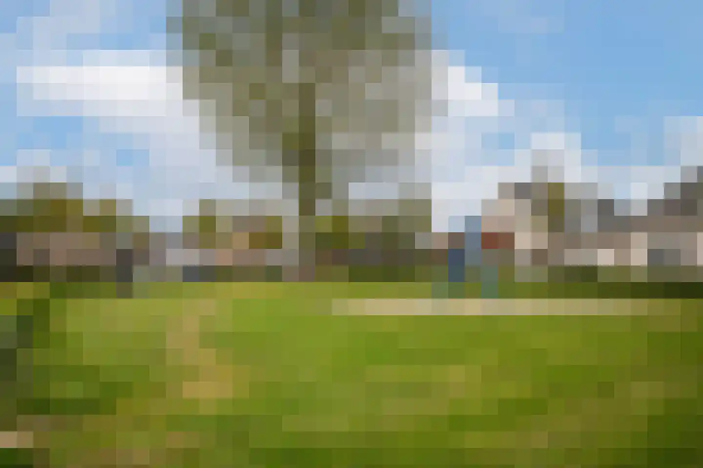 Kamille 8 Kerkdriel thumbnail 56