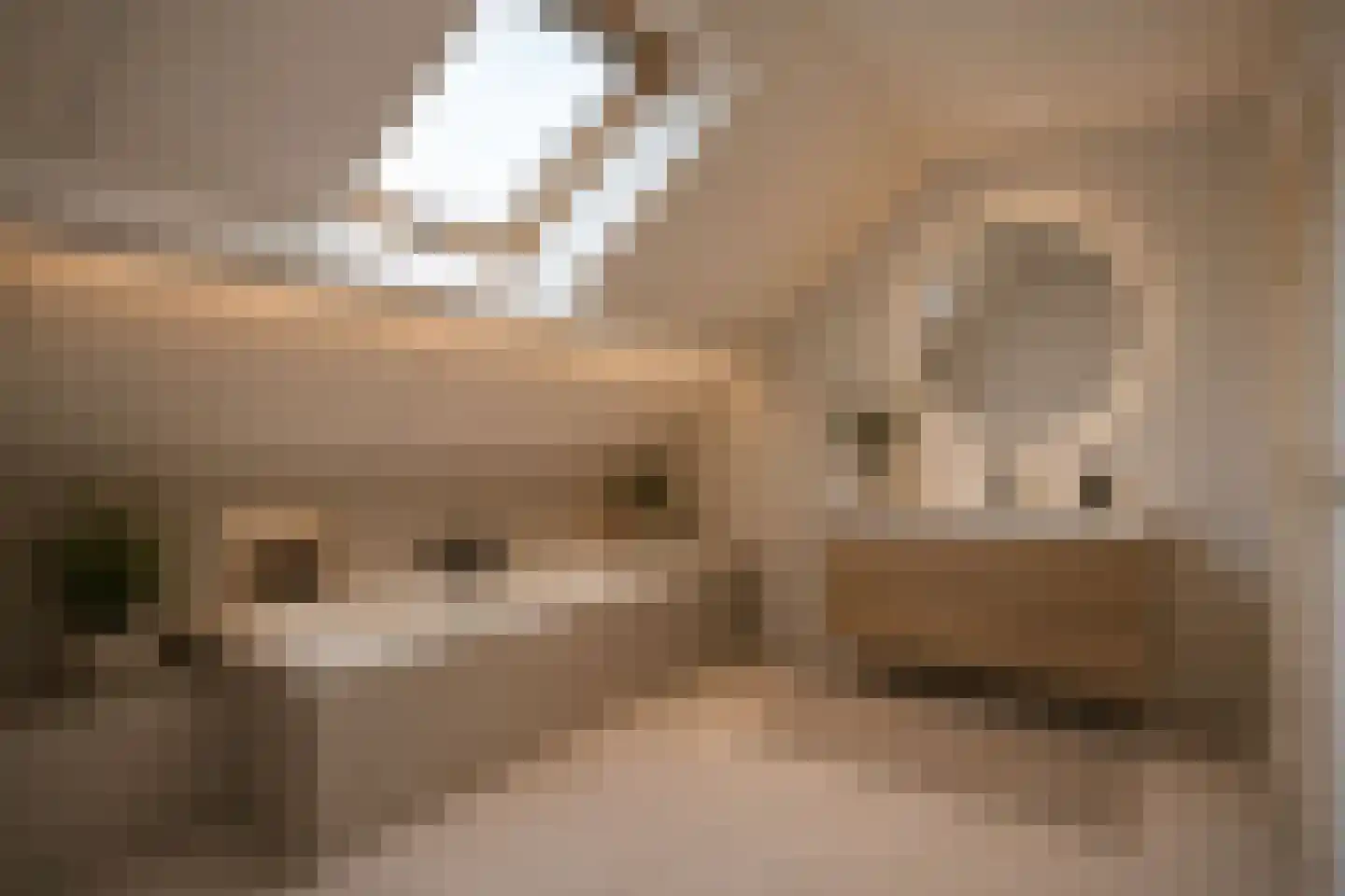 Kamille 8 Kerkdriel thumbnail 61