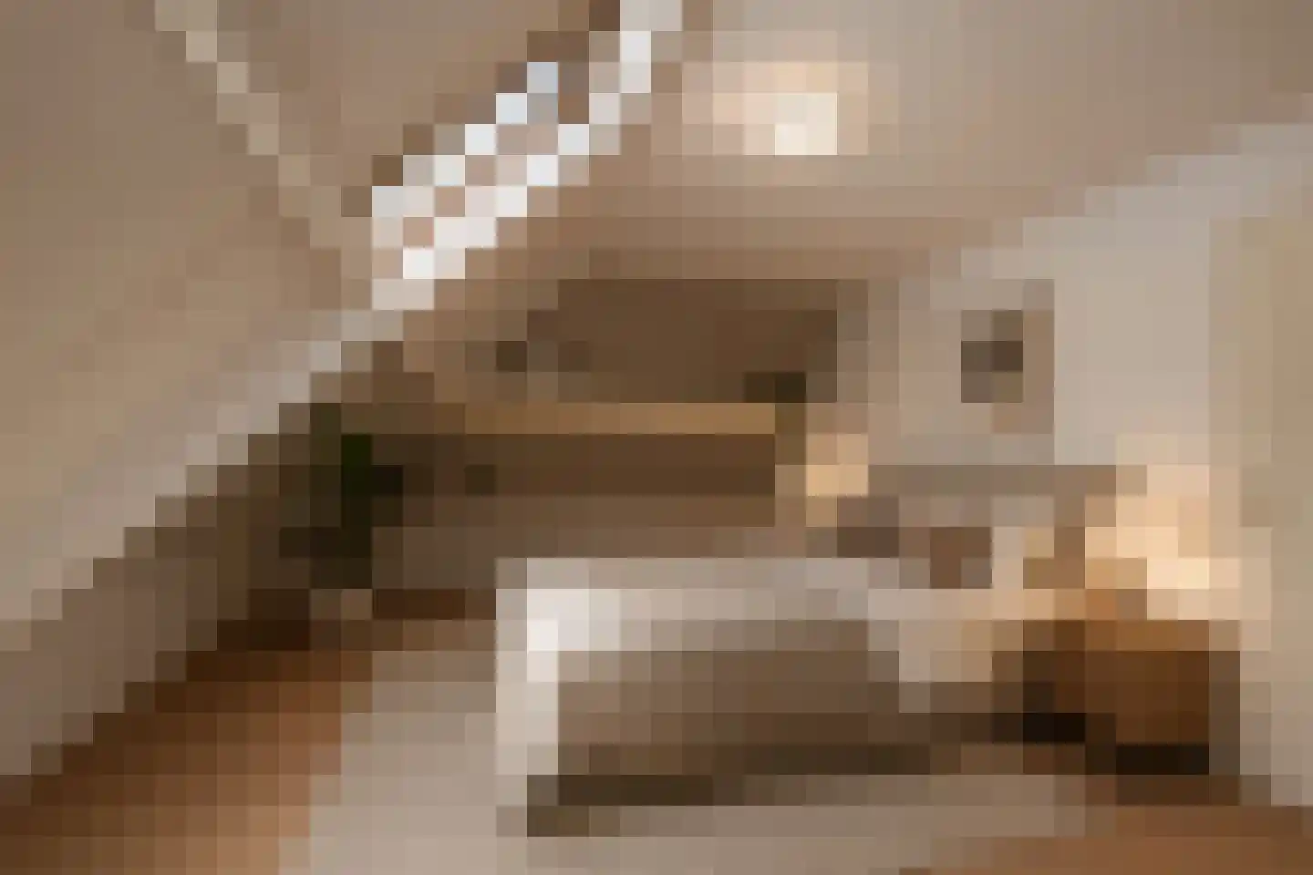 Kamille 8 Kerkdriel thumbnail 62