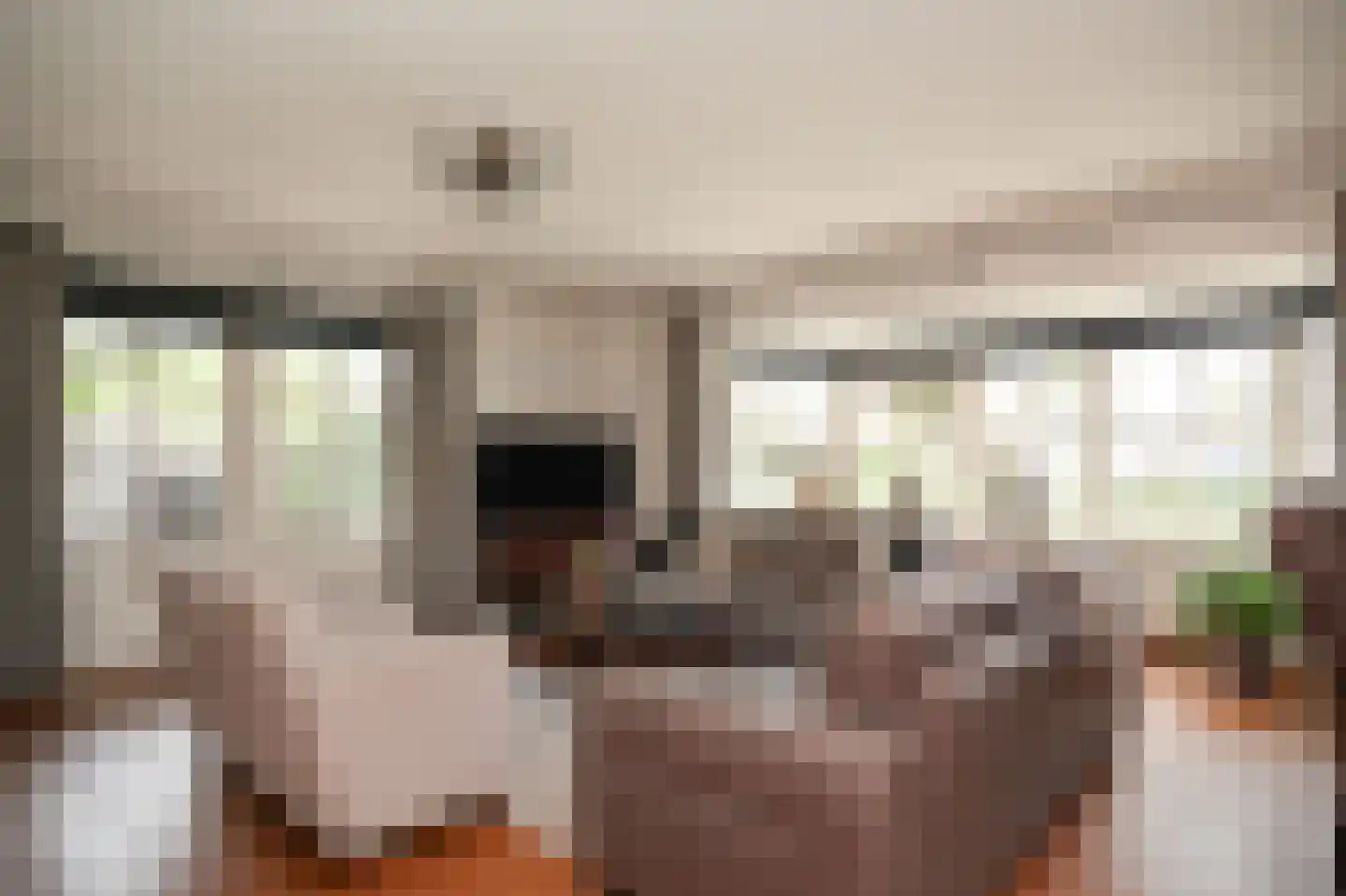 Kamille 8 Kerkdriel thumbnail 9