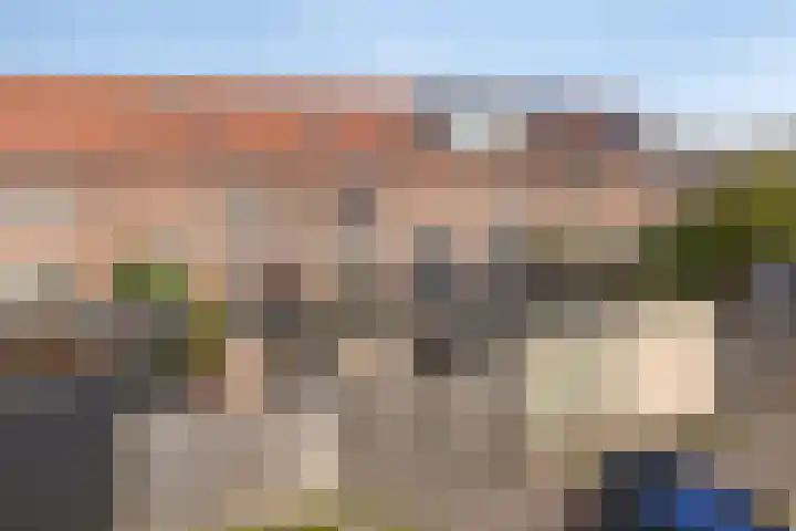 Kamille 80 Zwaag thumbnail 21