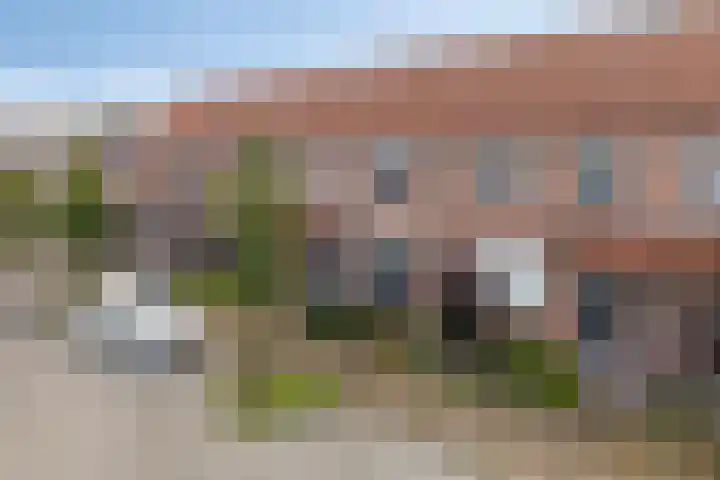 Kamille 80 Zwaag thumbnail 22