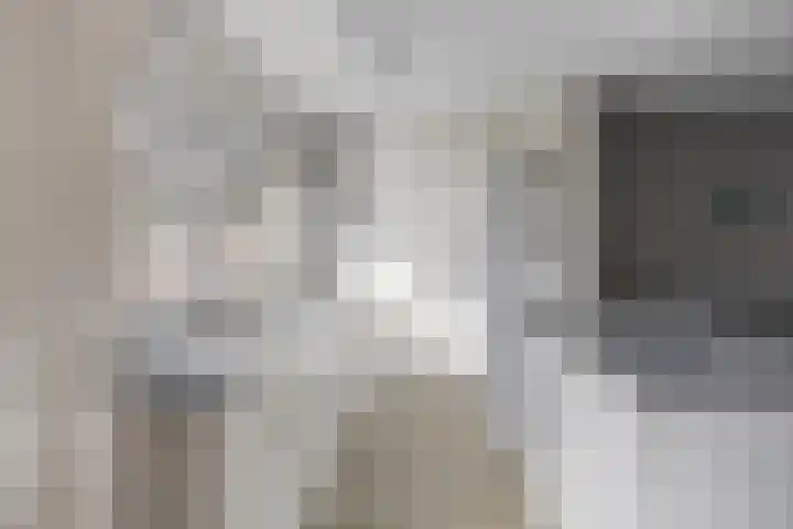 Kamille 80 Zwaag thumbnail 8