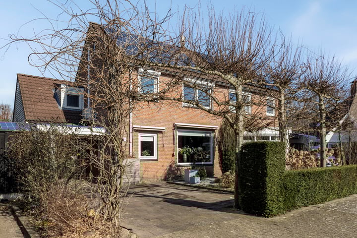 Kamille 9 in Delden foto