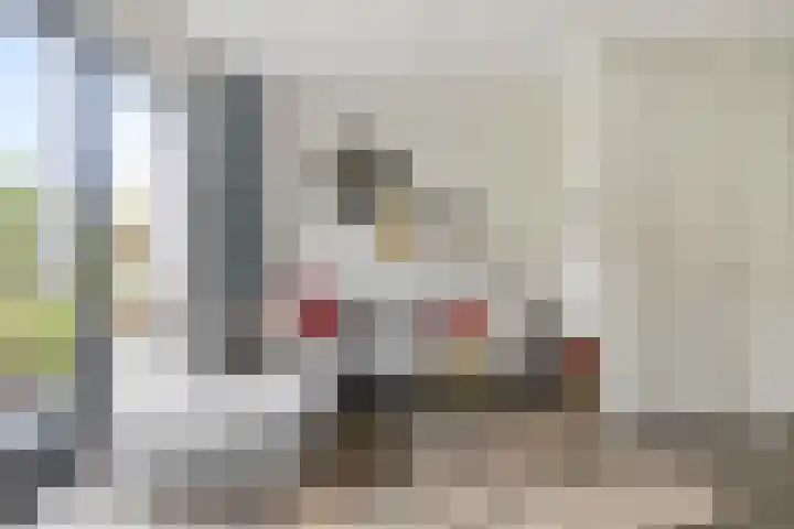 Kamille 9 Boxmeer thumbnail 10