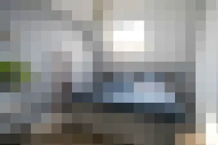 Kamille 9 Boxmeer thumbnail 13