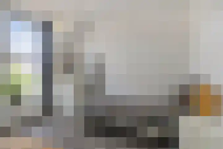 Kamille 9 Boxmeer thumbnail 15