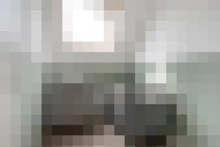 Kamille 9 Boxmeer thumbnail 17