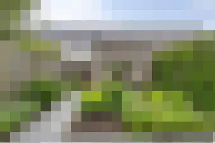 Kamille 9 Boxmeer thumbnail 23