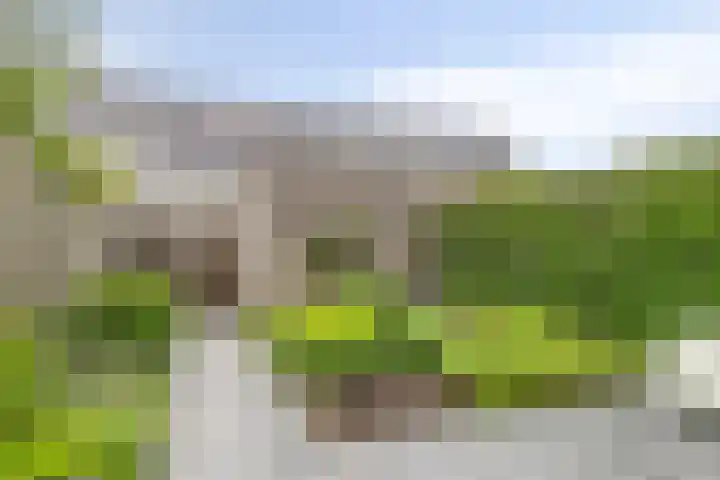 Kamille 9 Boxmeer thumbnail 24