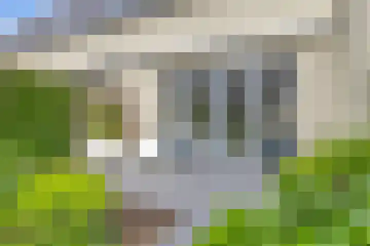 Kamille 9 Boxmeer thumbnail 25