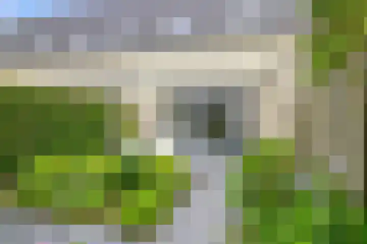 Kamille 9 Boxmeer thumbnail 26