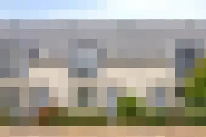 Kamille 9 Boxmeer thumbnail 27