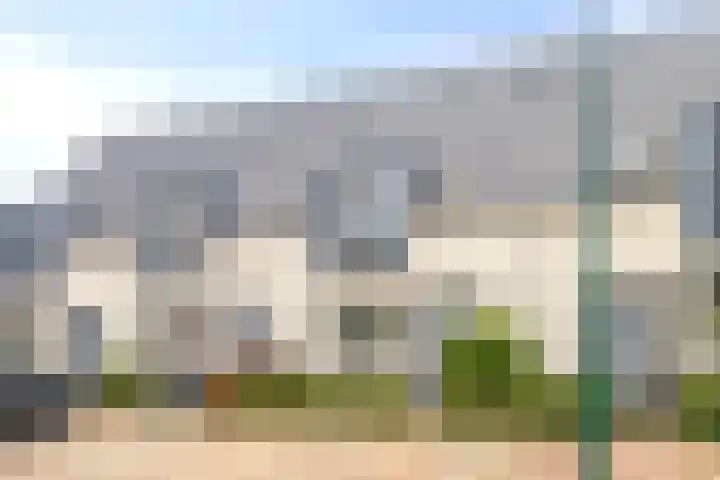 Kamille 9 Boxmeer thumbnail 28