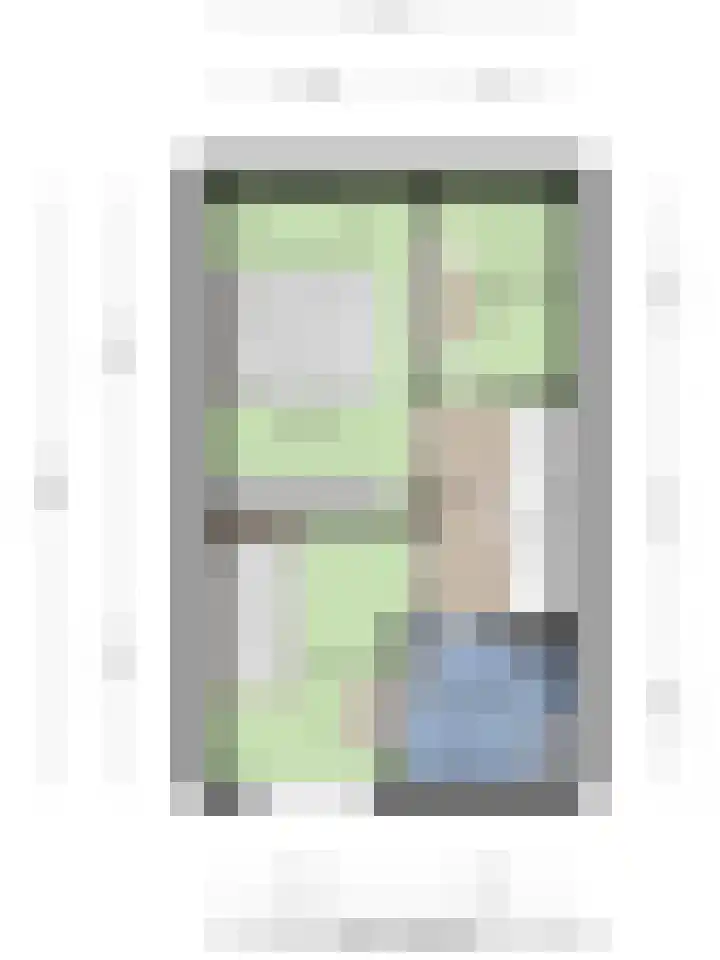 Kamille 9 Boxmeer thumbnail 33