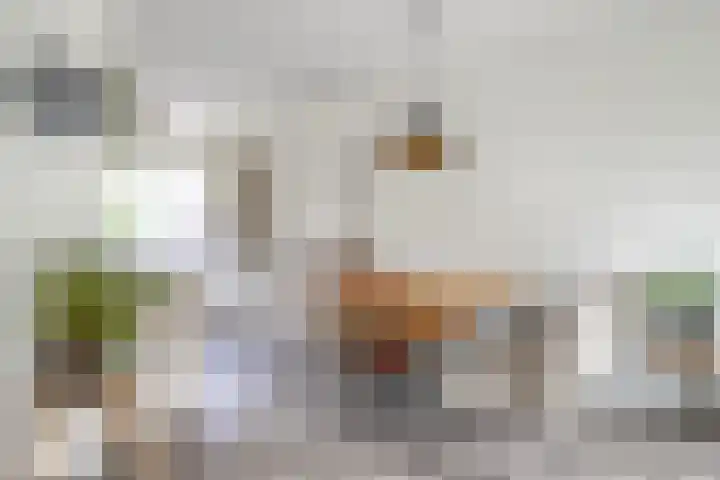 Kamille 9 Boxmeer thumbnail 4