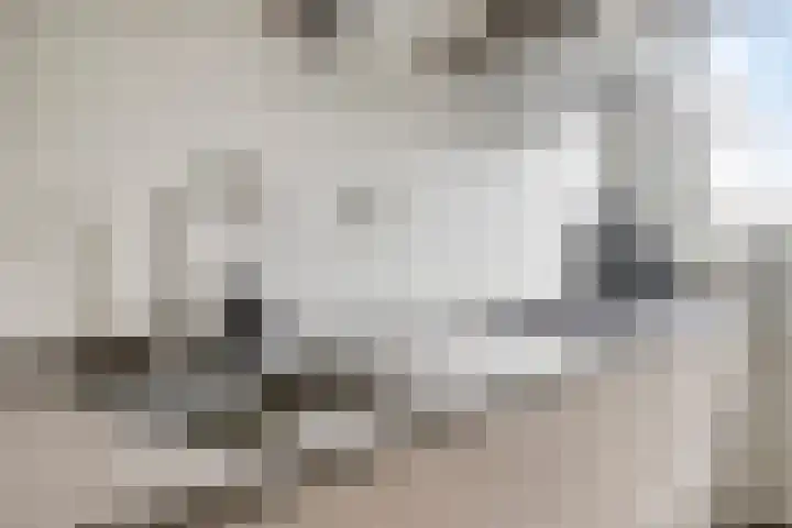 Kamille 9 Boxmeer thumbnail 6