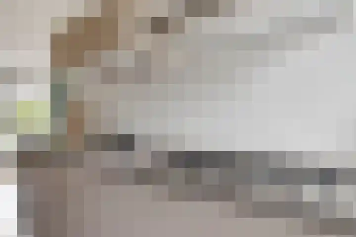 Kamille 9 Boxmeer thumbnail 7