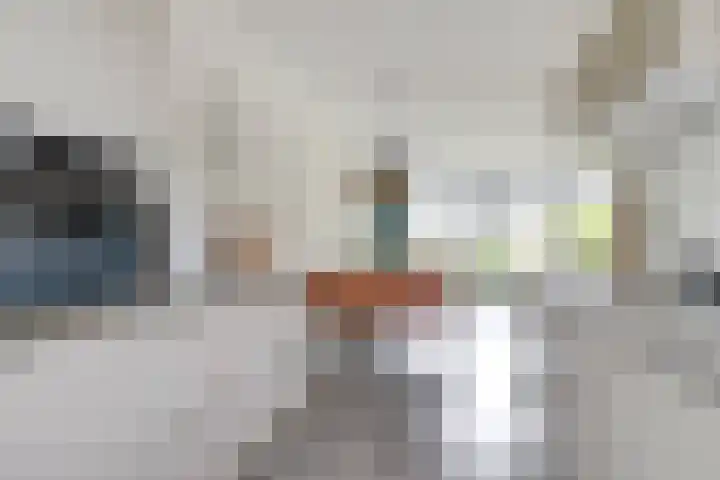 Kamille 9 Boxmeer thumbnail 8