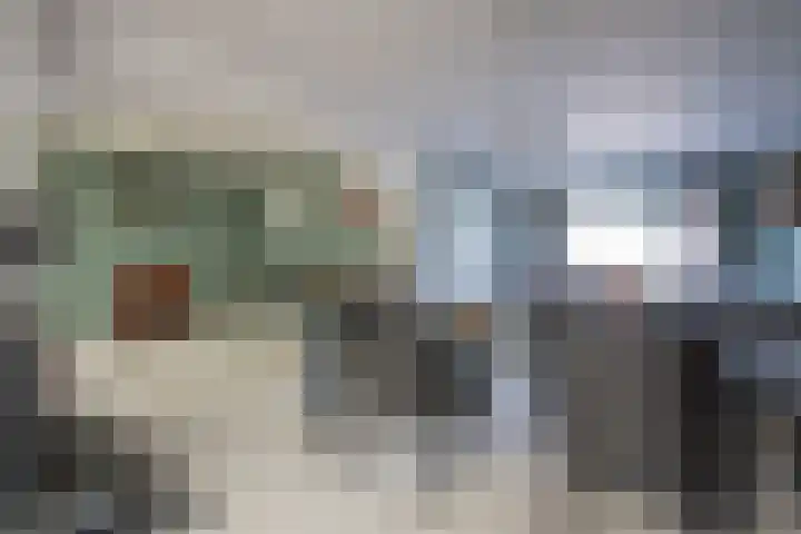 Kamille 9 Haelen thumbnail 14