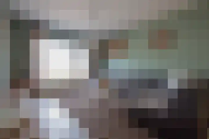 Kamille 9 Haelen thumbnail 18