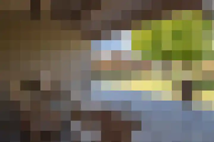 Kamille 9 Haelen thumbnail 4