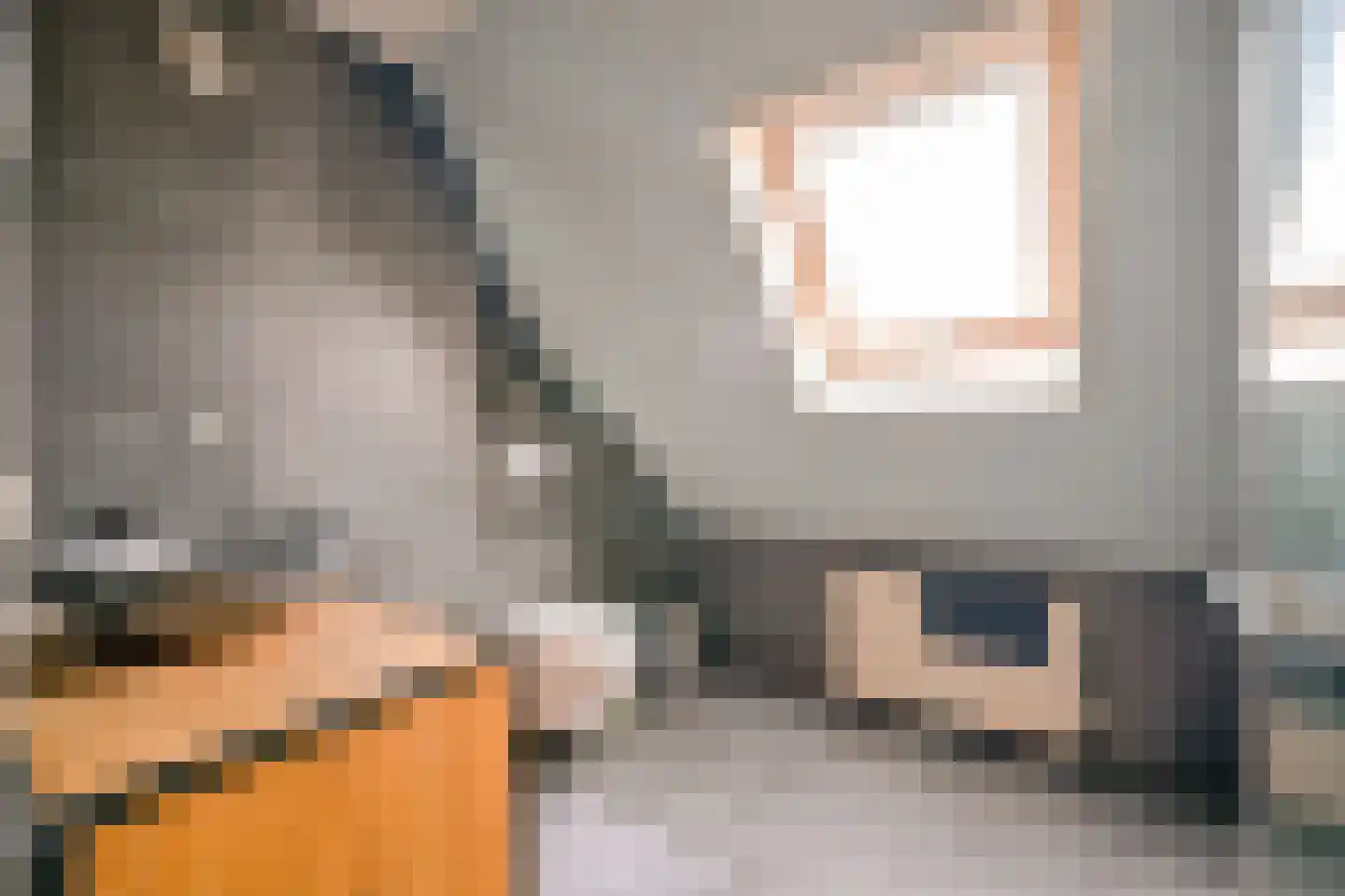 Kamille 9 Hoogkarspel thumbnail 28