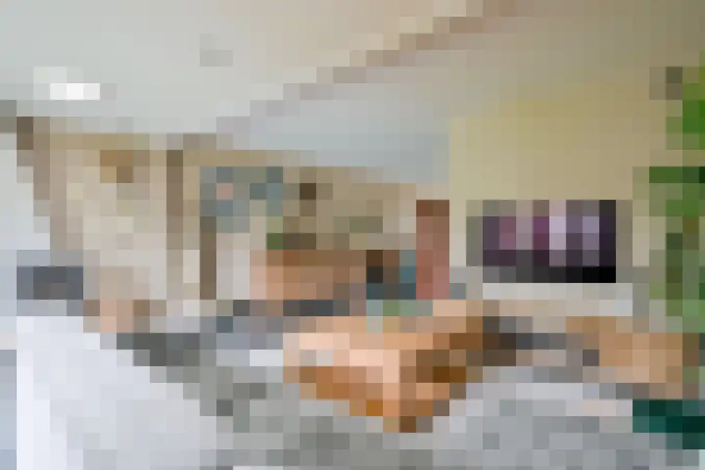 Kamille 9 Hoogkarspel thumbnail 7