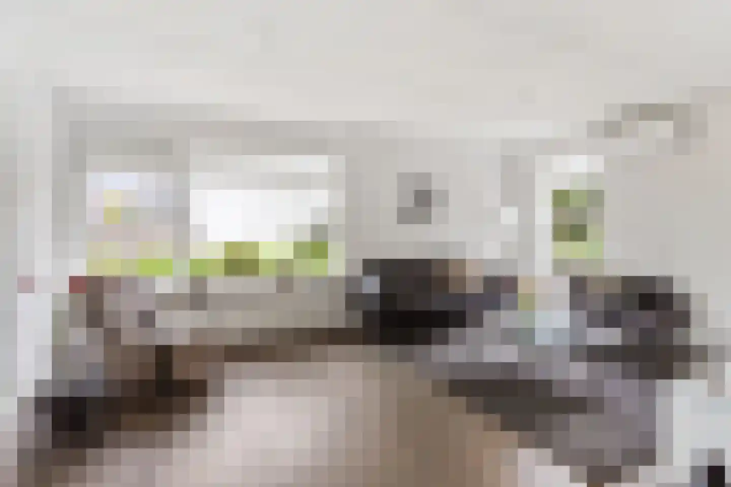 Kamille 9 Oldenzaal thumbnail 6