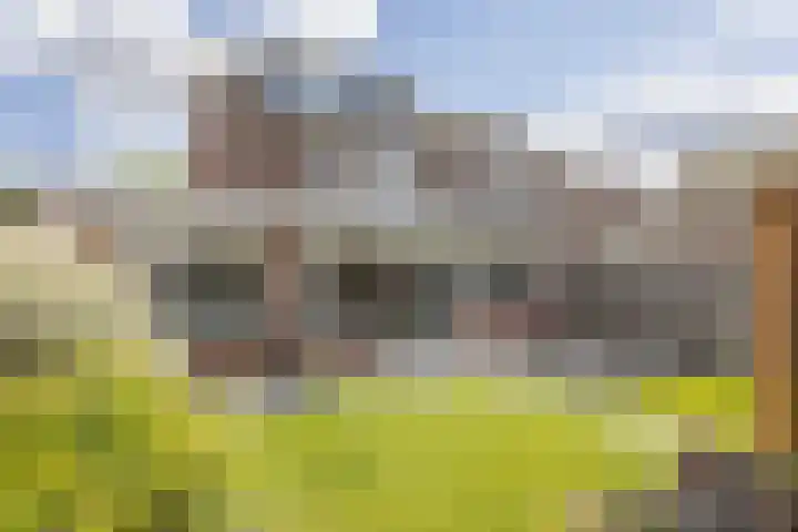 Kamille 97 Oldenzaal thumbnail 37