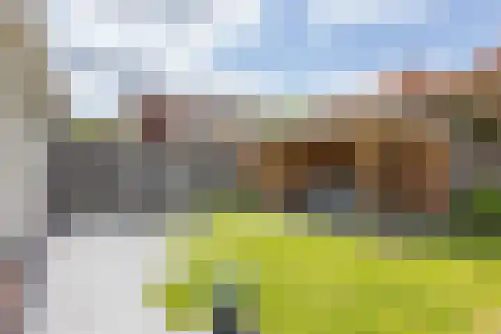 Kamille 97 Oldenzaal thumbnail 38