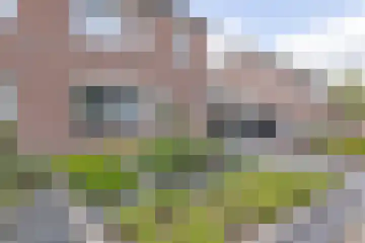Kamille 97 Oldenzaal thumbnail 5