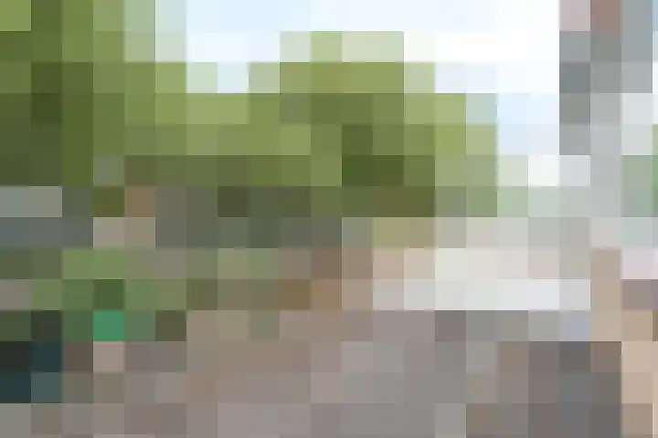 Kamillehof 46 Tilburg thumbnail 17