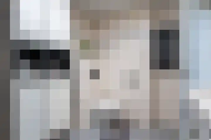 Kamillehof 46 Tilburg thumbnail 22