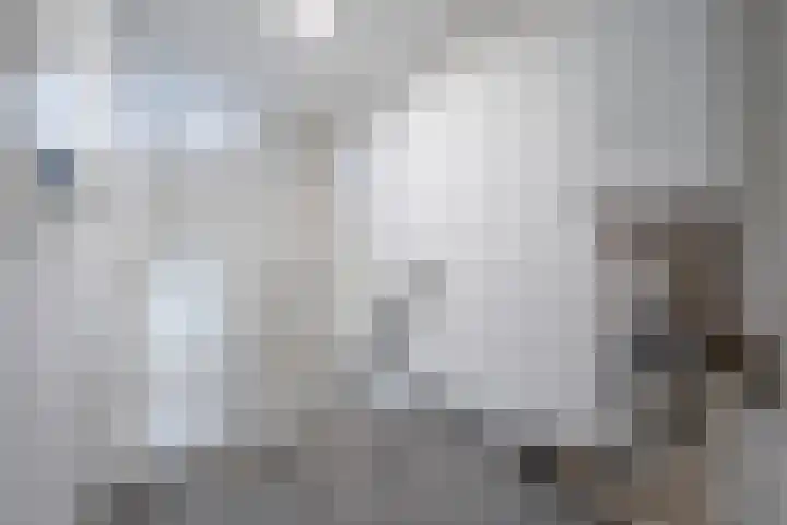 Kamillehof 46 Tilburg thumbnail 23
