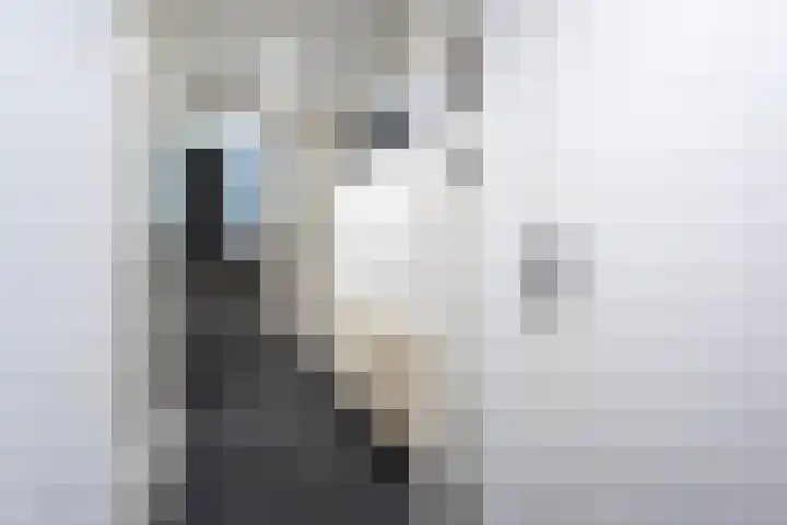 Kamillehof 46 Tilburg thumbnail 4